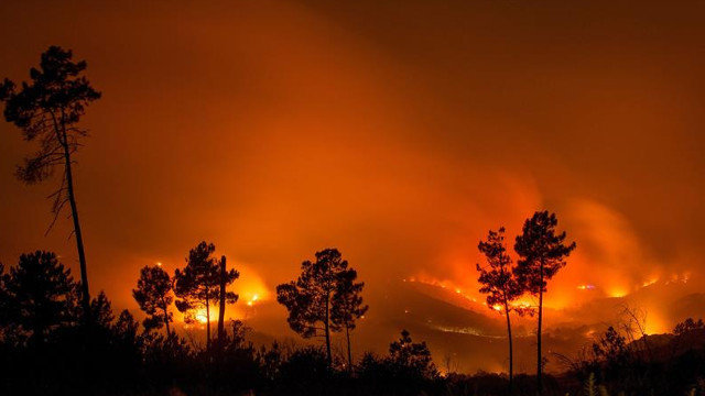 El incendio forestal declarado en Vilaza, en Monterrei, asciende ya a unas 50 hectáreas quemadas, tras avanzar sin control hacia As Chás así como hacia Oímbra. BRAIS LORENZO (EFE)