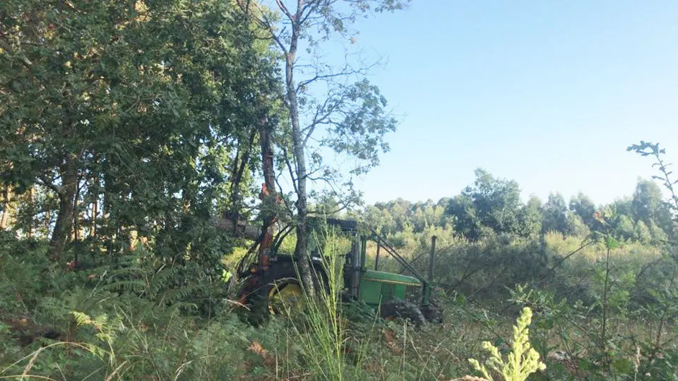 Imágenes de la preparación del terreno de la ciudad deportiva del Celta. RC CELTA