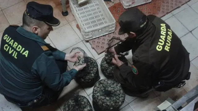 Almeja interceptada. TWITTER