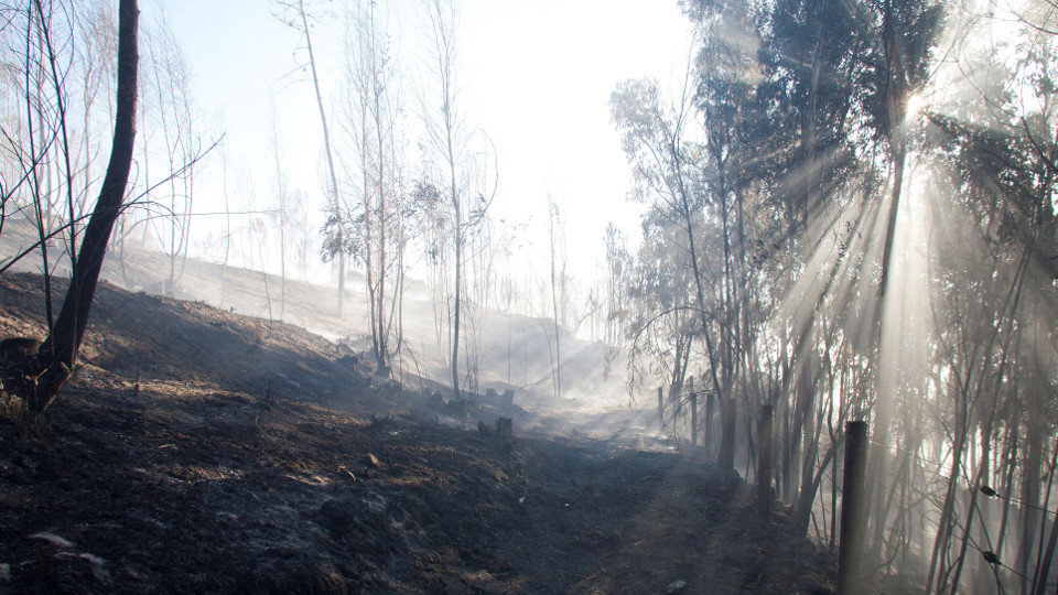 Mondariz, horas después del voraz incendio que devoró 150 hectáreas. SALVADOR SAS