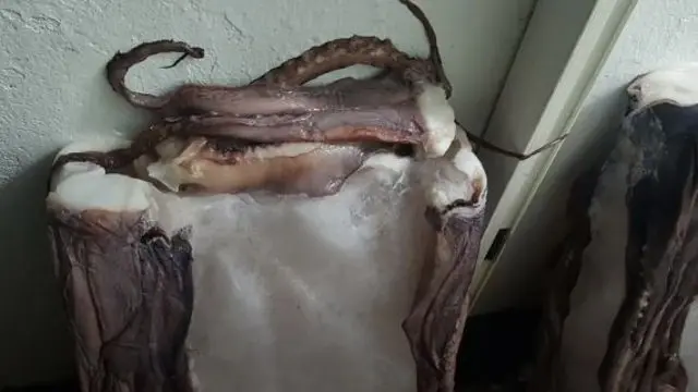 El bloque de hielo con las patas de pulpo. TVG