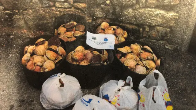 Parte de las vieiras incautadas. EP