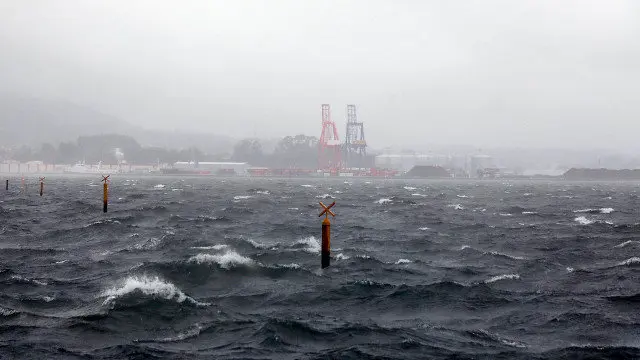 Flota amarrada en Vilagarcía. JOSE LUIZ OUBIÑA