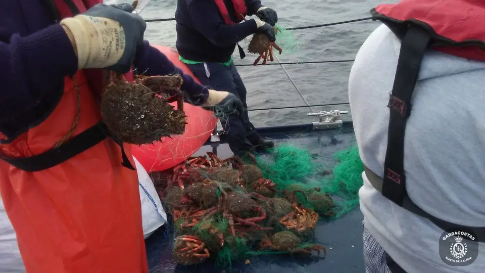 Productos del mar decomisados.@GardacostasGal