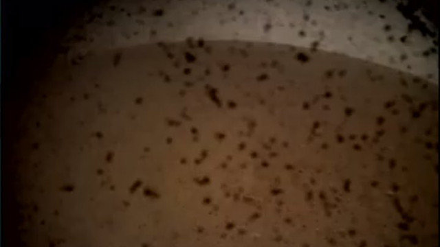 La primera imagen que ha enviado InSight desde Marte NASA
