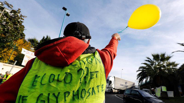 Una protesta de un 'chaleco amarillo'. SEBASTIEN NOGIER