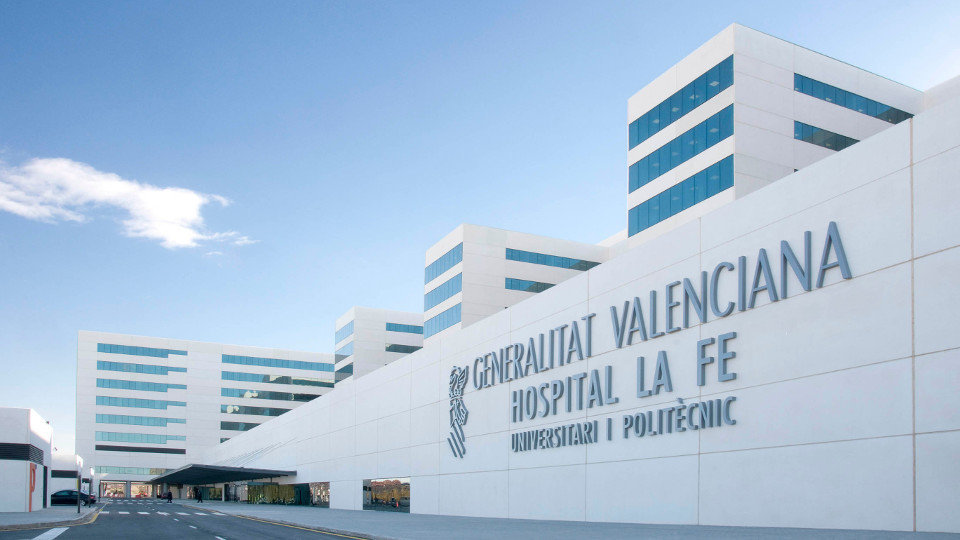 Hospital La Fe de Valencia. EP