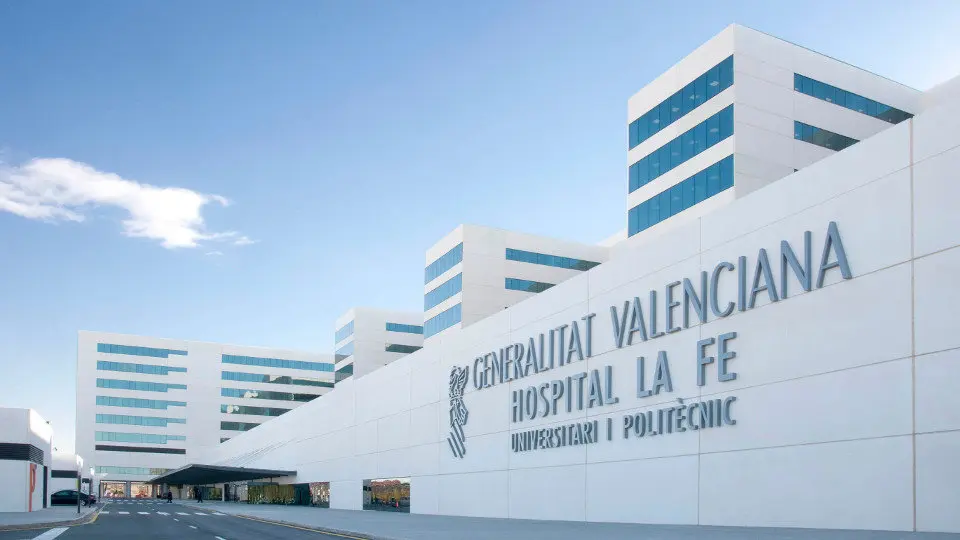 Hospital La Fe de Valencia. EP