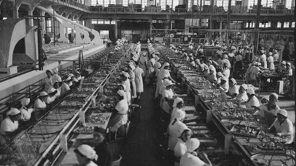 Conserveiras traballando. ARQUIVO DO GRIS AO VIOLETA