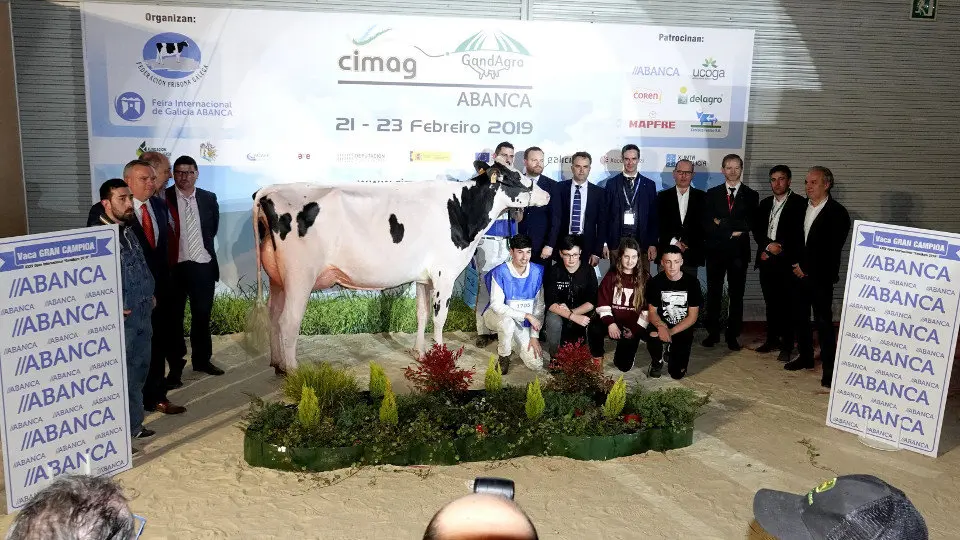 La ganadora de los concursos gallego e internacional de frisona, la pastoricense Rey 747 July High Octane. EP