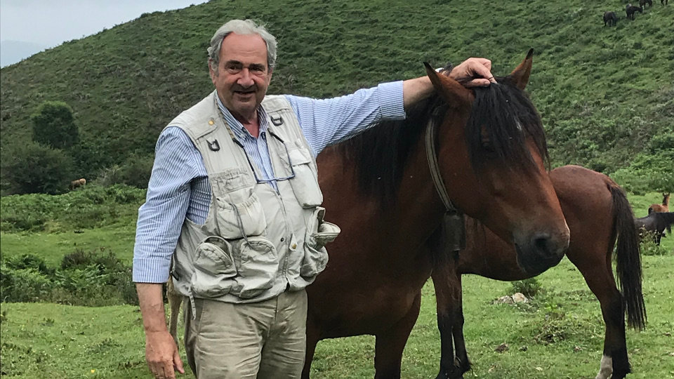 El experto Felipe Bárcena posa junto a un ejemplar de garrano en los montes gallegos. EP