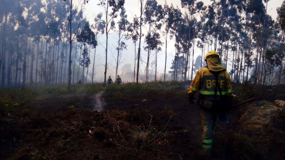 Labores de extinción en el incendio declarado en Dodro. TWITTER (@BRIFLAZA)