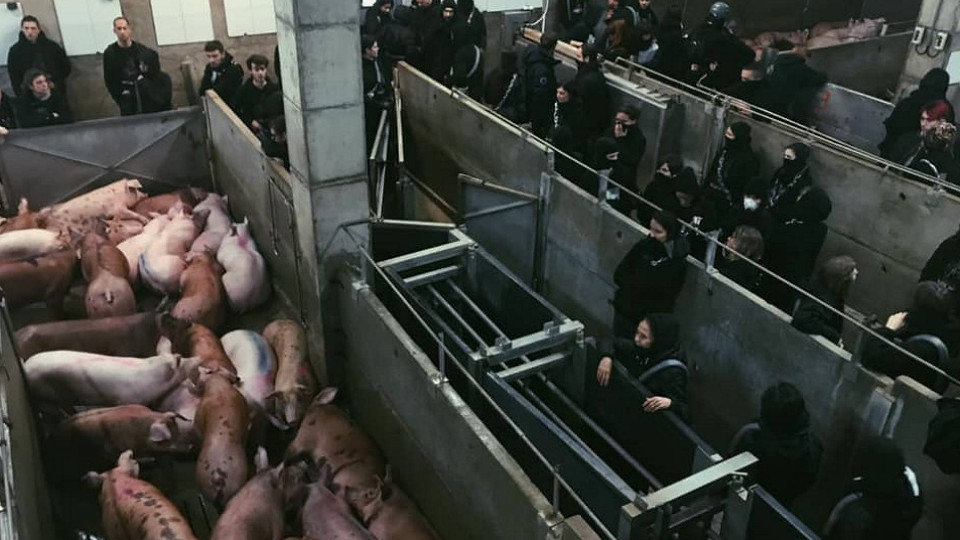 Los activistas en el matadero de Girona. 269 LIBÉRATION ANIMALE