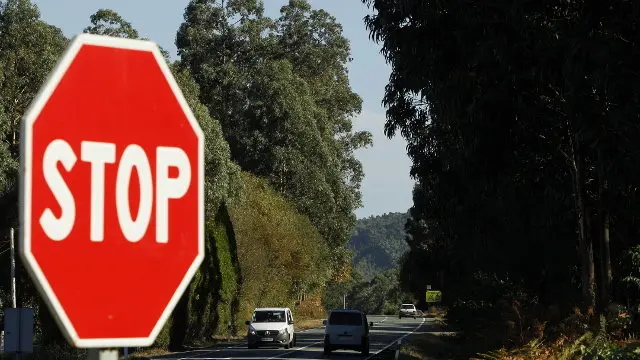 'Deseucaliptar' &eacute; un dos neoloxismos atopados. JOS&Eacute; M&ordf; &Aacute;LVEZ