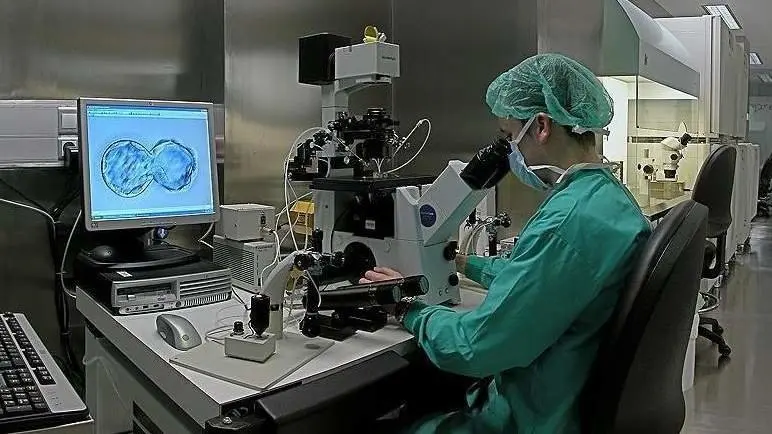 Manipulación de óvulos en un laboratorio. AEP