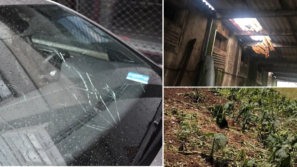 Lunas rotas, techos caídos y un huerto destrozado por la granizada de Lalín. DP