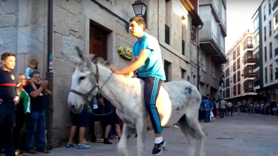 Imaxe da carreira de asnos do pasado ano en Padrón. YOUTUBE