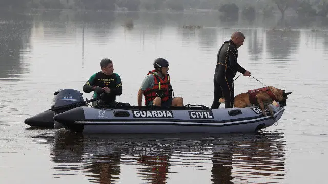 Una unidad canina, buzos y un helicóptero de la Guardia Civil participaron en la búsqueda del holandés en Alicante. EFE