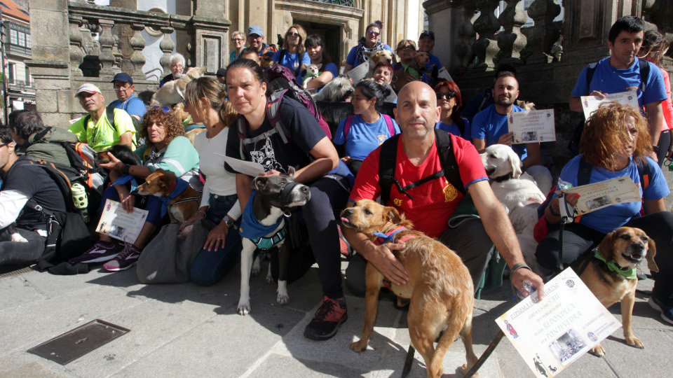 La asociación Pontepatas peregrina con 30 canes , siete de ellos de la protectora de Os Palleiros. DAVID FREIRE.