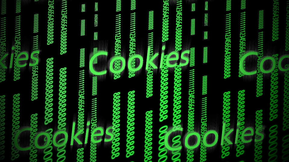 Cookies en la web. EP