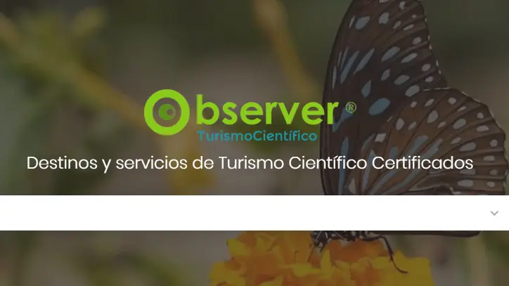 Portal de Observer.EP