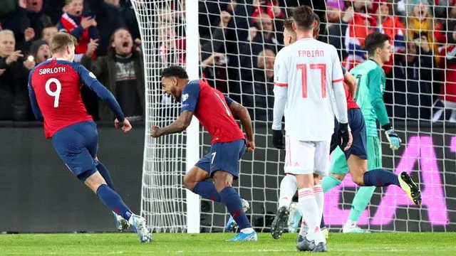 Los jugadores noruegos celebran el gol. EFE