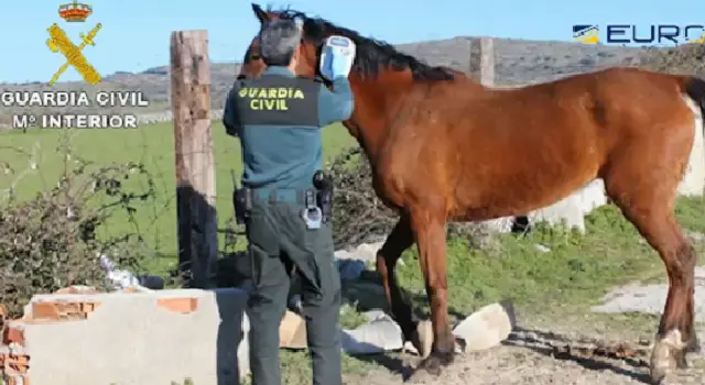 Un agente con un caballo. GUARDIA CIVIL
