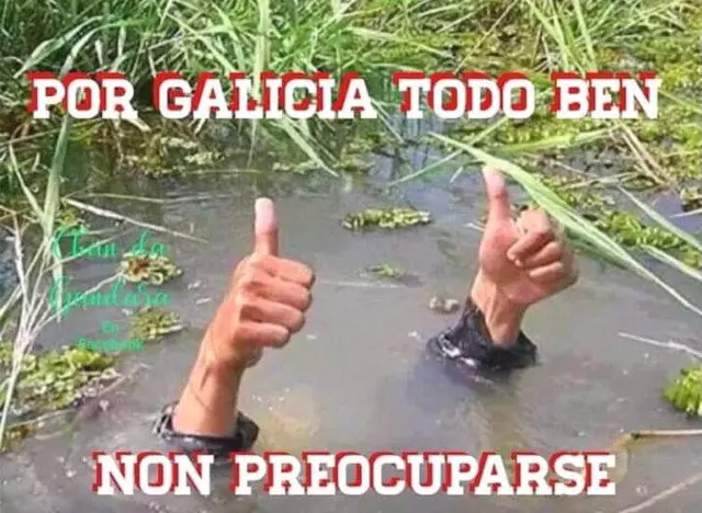 Os mellores memes da borrasca Elsa