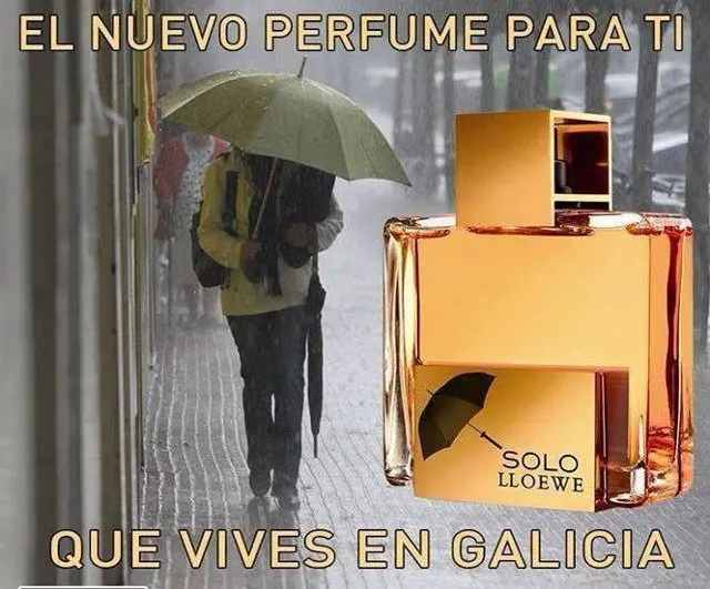 Os mellores memes da borrasca Elsa