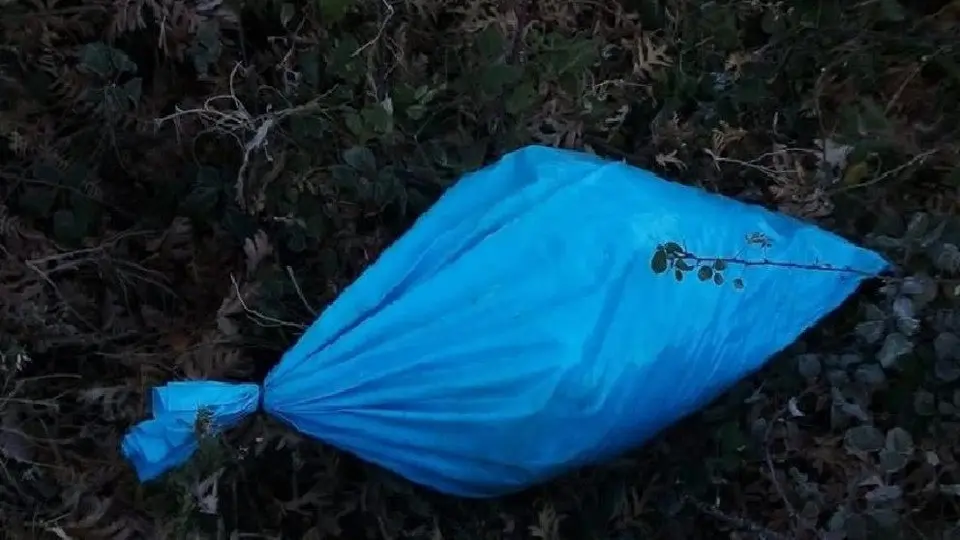 A bolsa onde foron achados os restos dos animais. PROTECCIÓN CIVIL ALLARIZ