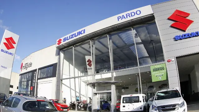 Pardo automocion