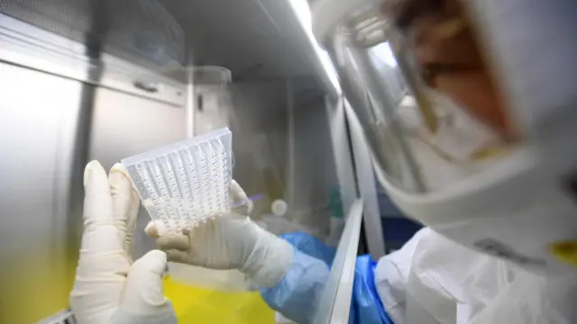 Un laboratorio de Wuhan. EFE