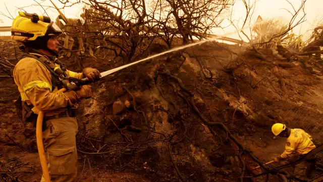 Trabajos de extinci&oacute;n de los incendios de Tenerife. EFE