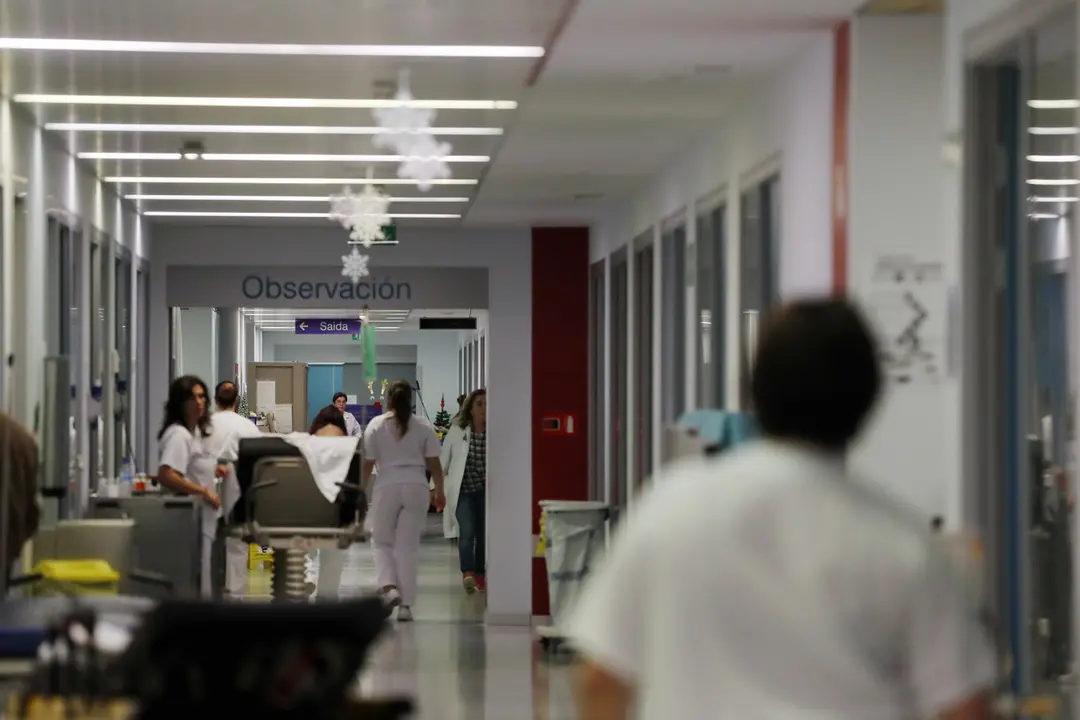 El interior del Hula. VICTORIA RODR&Iacute;GUEZ