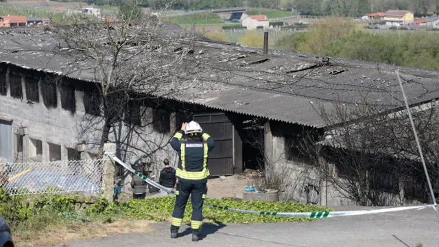 Nave avicola en Armenteira que sufreu un incendio esta madrugada
