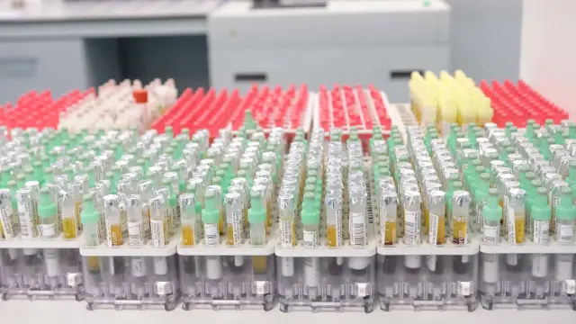 Proc/JFIF/EFE-Calidad:Excelente