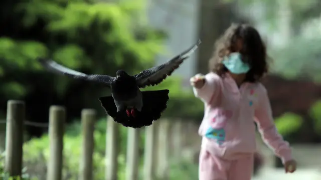 Unha nena paseando por Santiago. PEPE FERRÍN (AGN)