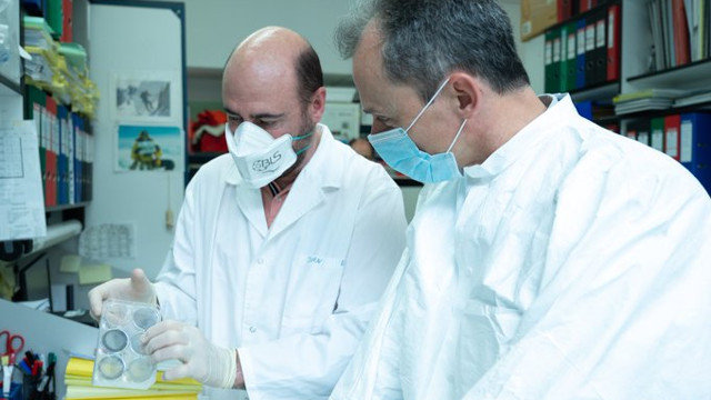 Investigadores trabajando en la vacuna contra el covid-19. EP