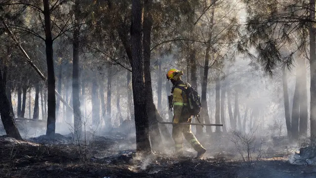 Proc/JFIF/EFE-Calidad:Excelente