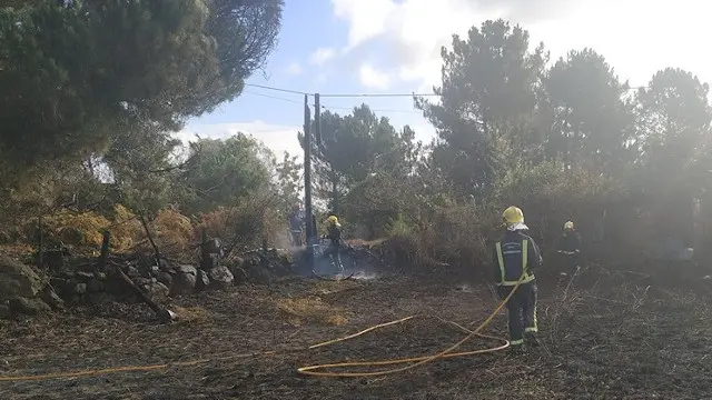 Generated by  IJG JPEG Library
Generated by  IJG JPEG Library