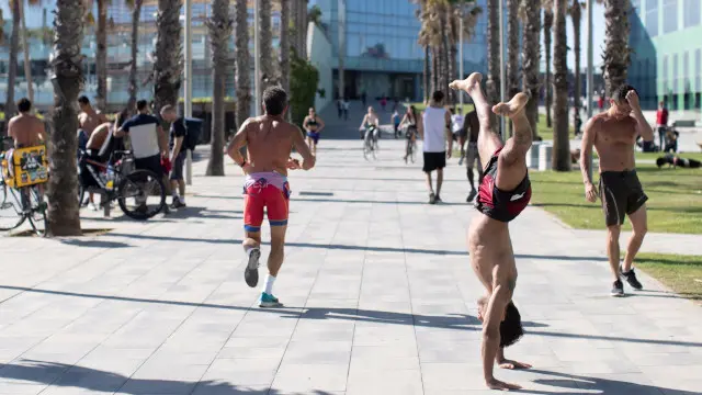 Proc/JFIF/EFE-Calidad:Excelente