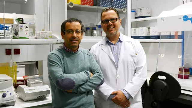 Generated by  IJG JPEG Library