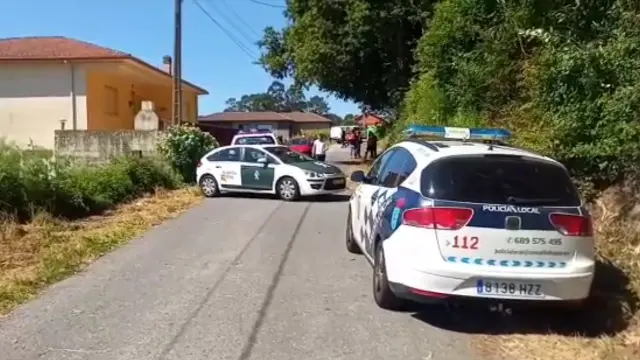 A leira de Poio na que se produciu en ataque das velutinas. DP