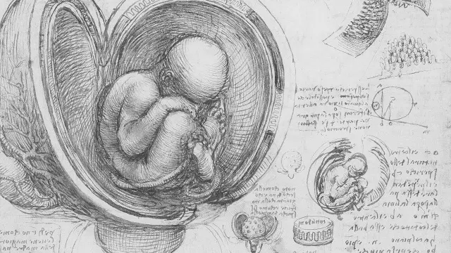 Generated by  IJG JPEG Library