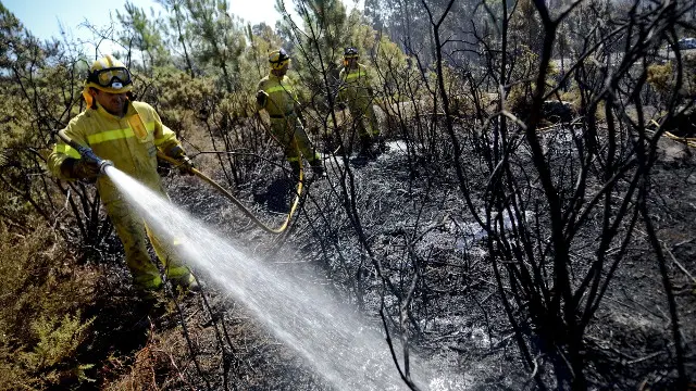 Brigadistas trabajando para sofocar un incendio. ARCHIVO
