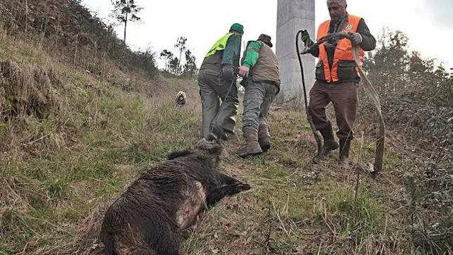 Generated by  IJG JPEG Library
Generated by  IJG JPEG Library
Generated by  IJG JPEG Library
Generated by  IJG JPEG Library