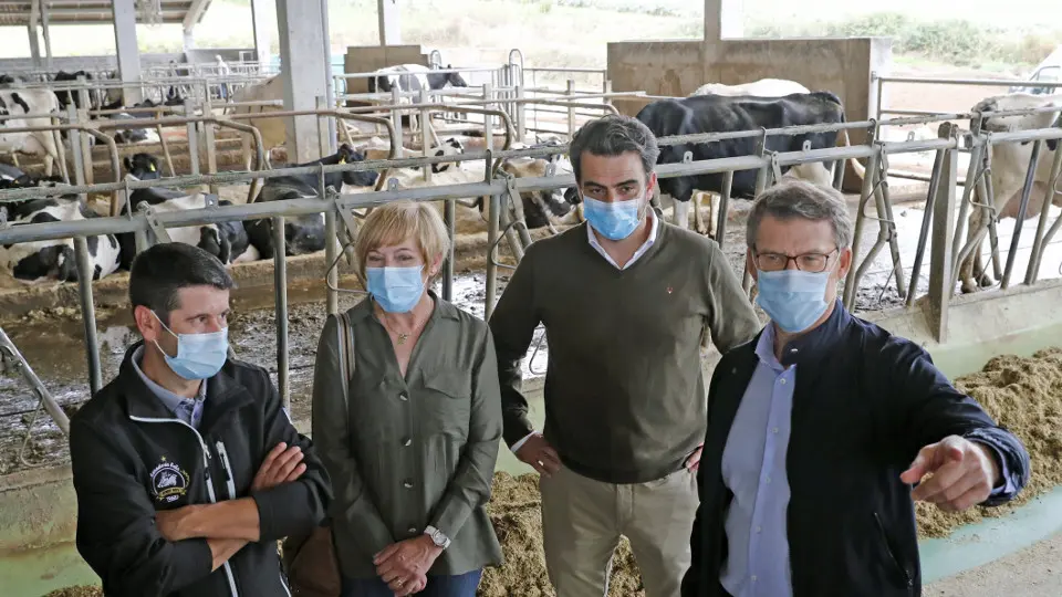 Alberto Núñez Feijóo, na explotación de Trazo. EFE