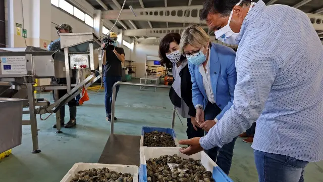 Generated by  IJG JPEG Library