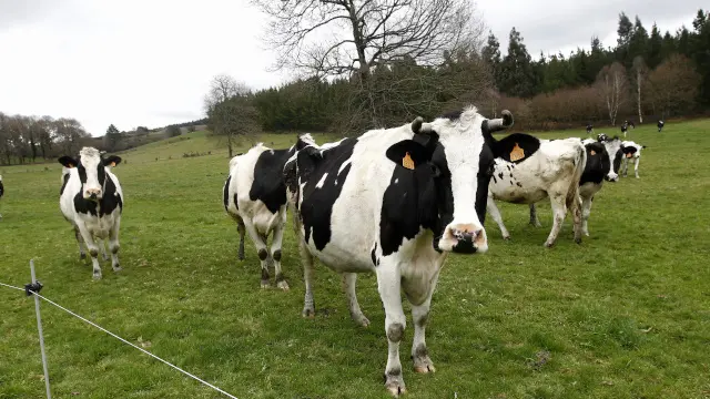 Generated by  IJG JPEG Library
Generated by  IJG JPEG Library
Generated by  IJG JPEG Library
AppleMark
