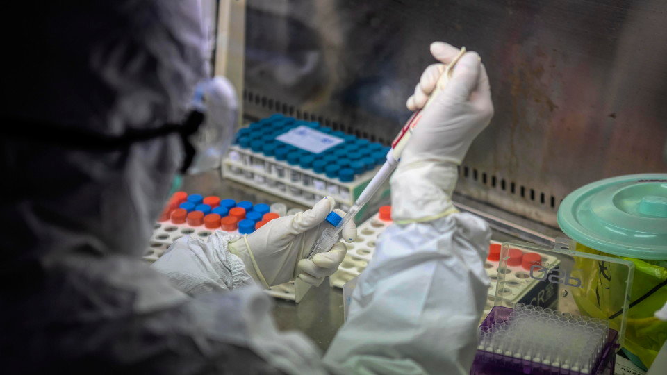 Un sanitario realizando un test PCR. ALEX PLAVEVSKI (EFE)
